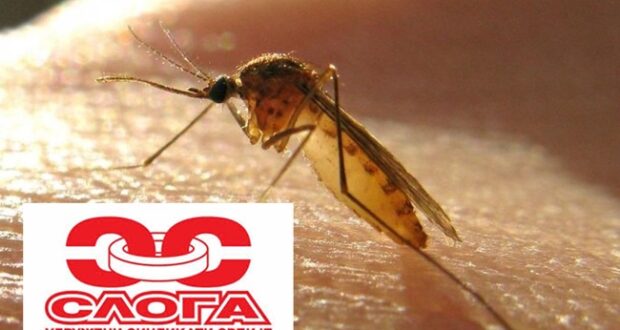 Zahtevamo hitnu deratizaciju i prskanje komaraca